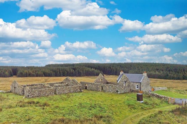 Land for sale in Ballimony Steading, Argyll & Bute