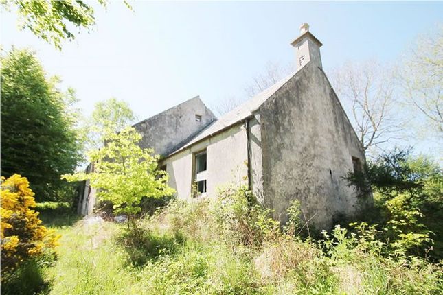 5 Bedroom Detached house for sale in Westhall Church, Moray